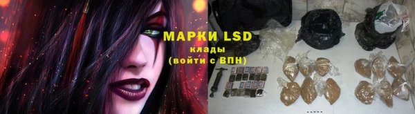индика Алзамай