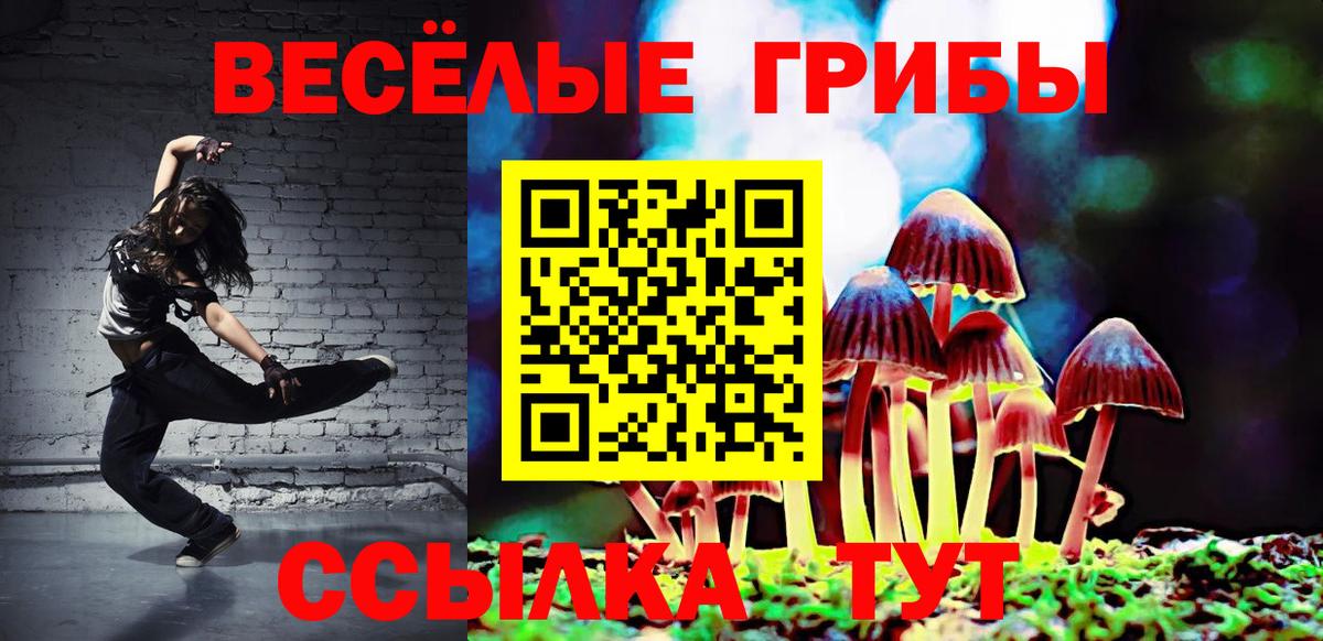 купить   Псилоцибиновые грибы GOLDEN TEACHER  Вход с VPN  Первоуральск  Псилоцибиновые грибы Psilocybe 